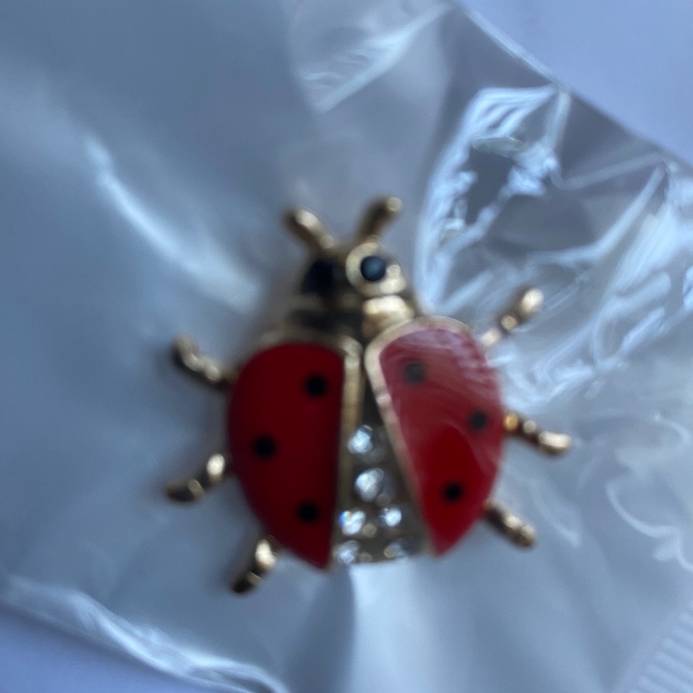 Ladybug pin